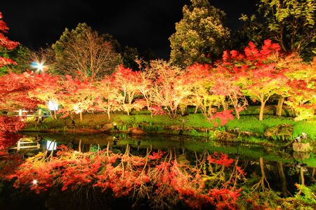 ILLUMINATION AT NABANA NO SATO,MIE,JAPAN.-with attractive autumn leavesのeditorial素材