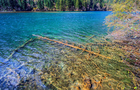 Arrow Bamboo Lake,Jiuzhaigou,north of Sichuan province, China.の写真素材