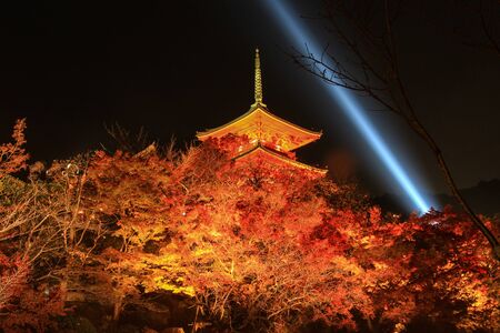 light up at Kiyomizu-dera(an independent Buddhist temple in eastern Kyoto. The temple is part of the Historic Monuments of Ancient Kyoto UNESCO World Heritage site) in autumnのeditorial素材