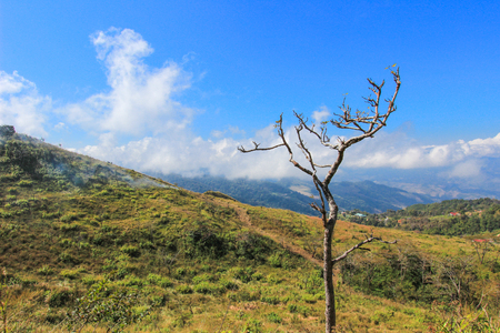 view from Doi Pha Tang,Wiang Kaen district,Chiang Rai,Thailand.の写真素材