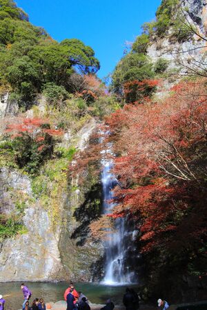 autumn at Minoo Waterfall,Osaka,Japan.This waterfall is Minoo park's main natural attraction,with a height of 33 meters.のeditorial素材
