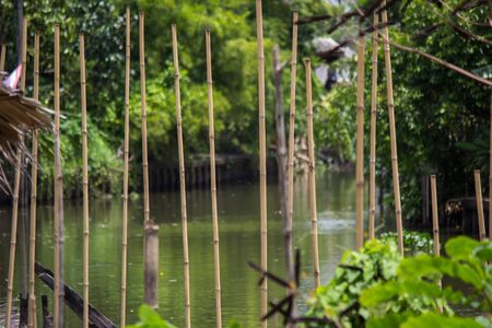 waterfront and rural atmosphere at Khlong Bang Ramat,a canal in Bangkok,Thailandの写真素材