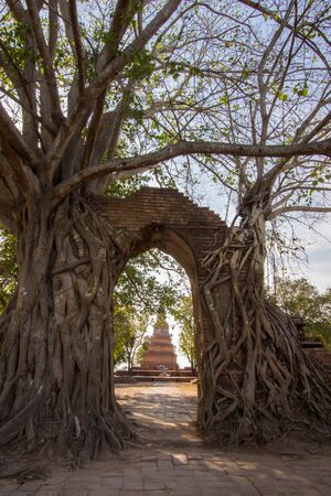 Miracle "Gateway to the passage of time" at ruins of Wat Phra Ngam(Wat Cha Ram),Phra Nakorn Si Ayutthaya,Thailandの写真素材