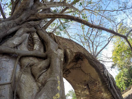 Miracle "Gateway to the passage of time" at ruins of Wat Phra Ngam(Wat Cha Ram),Phra Nakorn Si Ayutthaya,Thailandの写真素材