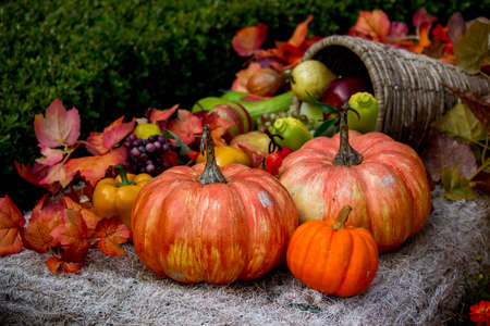 Halloween display in Tokyo,Japan.の写真素材