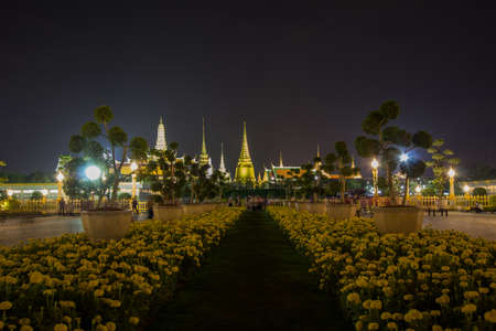 night view of Grand Palace(Wat Phra Kaew) with Marigold flowers in the foreground,Bangkok,Thailandの写真素材
