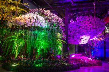 Prachinburi,Thailand-January11,2018:Displays of flowers in dark room along with lights at Dasada Gallery.のeditorial素材