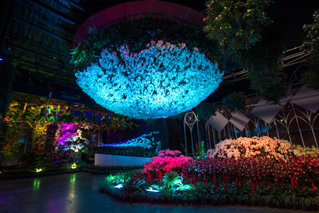 Prachinburi,Thailand-January11,2018:Displays of flowers in dark room along with lights at Dasada Gallery.のeditorial素材