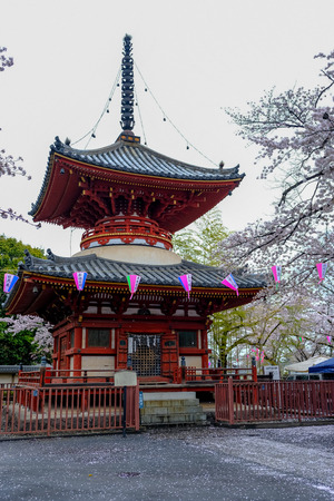 Cherry Blossom Festival at Kita-in Temple,Kosenbamachi,Kawagoe,Saitama,Japan on April9,2017:Two story pagoda(tahoto) and beautiful cherry trees.のeditorial素材