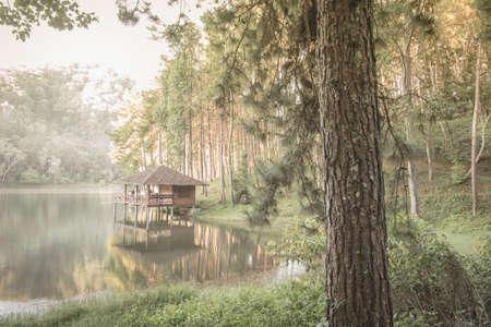 Romantic morning scenery of Huai Pang tong Reservoir and pine forests at Pang Oung,Pang Tong Royal Development Project,Ban Ruam Thai,Mae Hong Son,Northern Thailandの写真素材