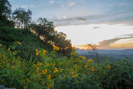 Impressive scenery during sunset from Kiew Lom viewpoint,Pang Mapa districts,Mae Hong Son,Northern Thailand.の写真素材