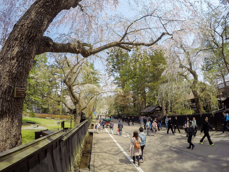 Samurai District of Kakunodate,Akita,Tohoku,Japan on April 27,2018:Tourists came to see weeping cherry trees(shidarezakura) along the street and historic homes in spring.のeditorial素材