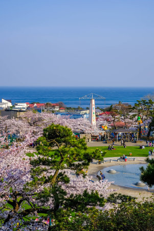 Hakodate,Hokkaido,Japan on April 29,2018: Panoramic view as seen from Meiji-Yama Artificial Mountain in Hakodate Park in springのeditorial素材