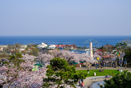 Hakodate,Hokkaido,Japan on April 29,2018: Panoramic view as seen from Meiji-Yama Artificial Mountain in Hakodate Park in springのeditorial素材