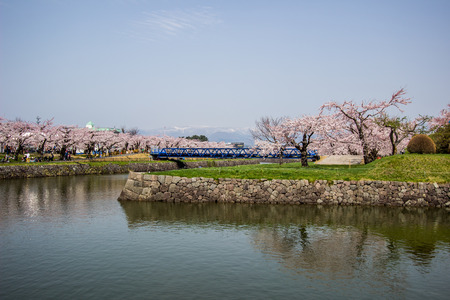 Hakodate,Hokkaido,Japan on April 29,2018:Cherry trees along the moats of Fort Goryokaku in spring.のeditorial素材