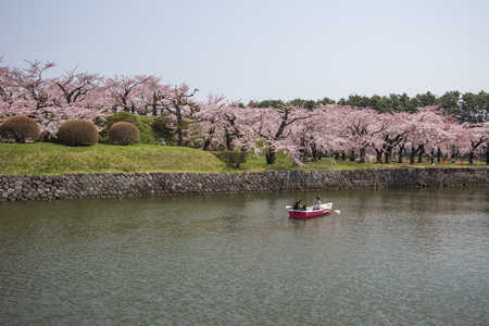 Hakodate,Hokkaido,Japan on April 29,2018:Tourists enjoyed paddling the boats and cherry blossom viewings at Fort Goryokaku in spring.のeditorial素材