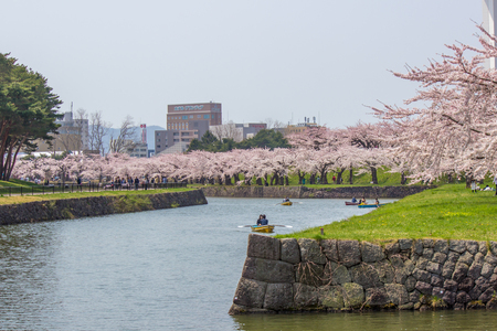Hakodate,Hokkaido,Japan on April 29,2018:Tourists enjoyed paddling the boats and cherry blossom viewings at Fort Goryokaku in spring.のeditorial素材