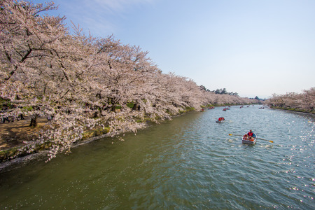 Hirosaki Cherry Blossom Festival 2018 at Hirosaki Park,Aomori,Tohoku,Japan on April 28,2018:Tourists enjoyed rowing boats and viewing cherry blossoms along the west moat.のeditorial素材