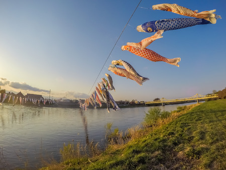 Tenshochi Park,Kitakami,Iwate,Tohoku,Japan on April 26,2018:Carp streamers (or koinobori) over the...