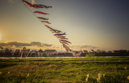 Tenshochi Park,Kitakami,Iwate,Tohoku,Japan on April 26,2018:Carp streamers (or koinobori) over the Kitakami River blowing in strong wind during sunsetのeditorial素材