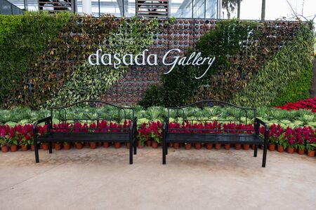 Prachinburi, Thailand-January 11, 2018: Beautiful flower and plant displays at Dasada Gallery.のeditorial素材