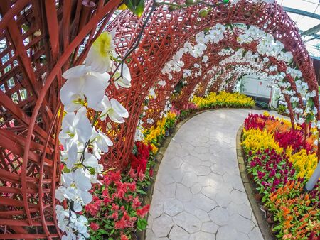 Prachinburi, Thailand-January 11, 2018: Beautiful flower and plant displays at Dasada Gallery.のeditorial素材