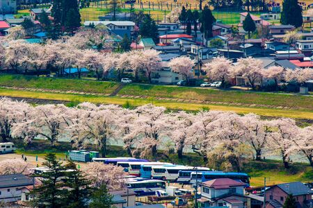 Tohoku, Japan - April 24, 2018 : Panoramic view of Kakunodate town and the Hinokinaigawa River during cherry blossom festival as seen from the former site of Kakunodate Castle on the hilltop.のeditorial素材