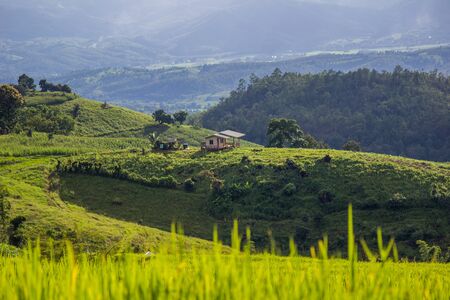 Beautiful scenery of Ban Pa Pong Piang,Mae Chaem,Chiang Mai province,Northern Thailand.の写真素材