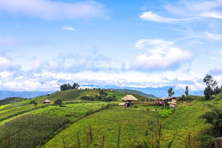 Beautiful scenery of Ban Pa Pong Piang,Mae Chaem,Chiang Mai province,Northern Thailand.