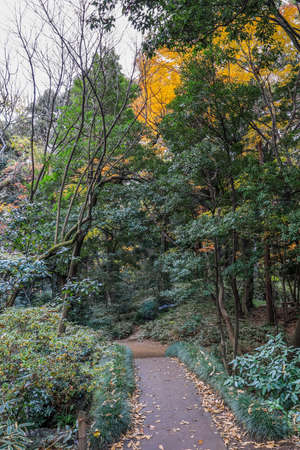 Bunkyo City,Tokyo,Japan on December6,2019:Beautiful autumn colors at Rikugien Garden.のeditorial素材