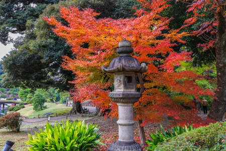 Bunkyo City,Tokyo,Japan on December6,2019:Stone lantern with autumn colors at Rikugien Garden.のeditorial素材