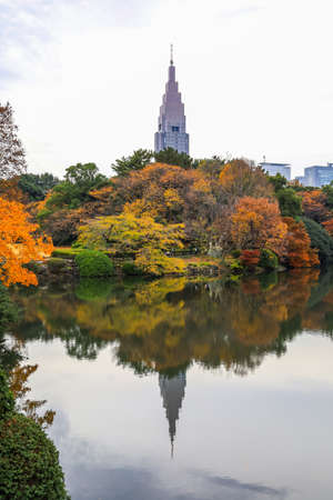 Tokyo,Japan on December7,2019:Fall foliage at Shinjuku Gyoen.With NTT Docomo Yoyogi Building in the distance.(selective focus)のeditorial素材