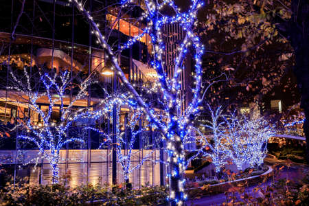 Minato-Ku,Tokyo,Japan on December 6,2019:Beautiful Garden Illumination to celebrate Christmas...
