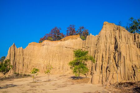 Wonderful natural structures of Kok Sua(Tigerâs Den) in Si nan National Park,Na Noi district,Nan Province,Northern Thailand.の写真素材