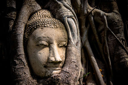 Phra Nakorn Sri Ayutthaya,Thailand on May22,2020:Buddha's head in Bodhi tree roots at Wat Mahathat.A UNESCO World Heritage Site.のeditorial素材