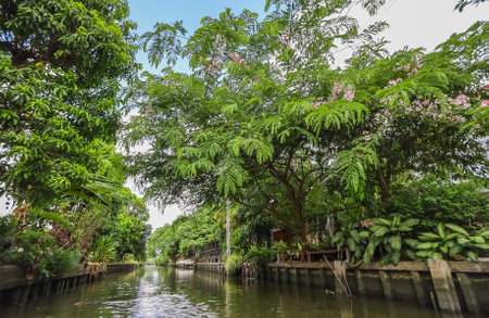 Bangkok's Thonburi side,Thailand on June5,2021:Waterfront and rural atmosphere at Khlong Bang Phromのeditorial素材