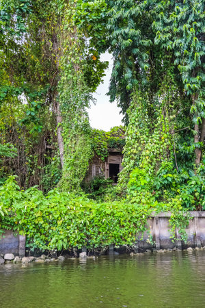 Bangkok's Thonburi side,Thailand on June5,2021:Old abandoned house covered by big trees at Khlong Bang Phrom.のeditorial素材