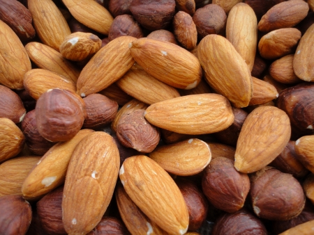Hazelnuts and almonds backgroundの写真素材