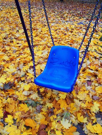 Baby swing in the autumn backgroundの写真素材