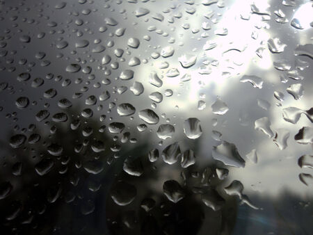 Drops on the glass gray background               の写真素材