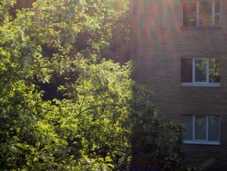 Spring landscape green foliage and houseの写真素材