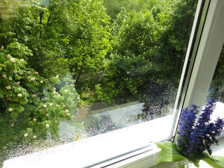 Violet flowers on the green nature backgroundの写真素材