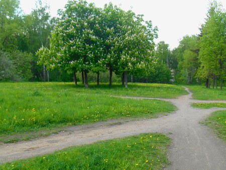 Green spring landscape in the parkの写真素材