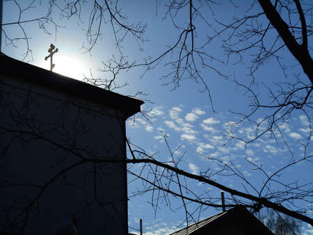 Church cross and tree branchの写真素材