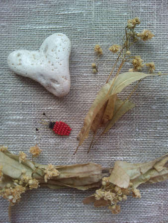Decor white heart stone,beetle and dry flowers