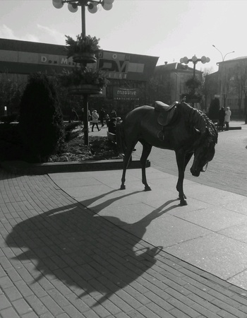 Sculpture in Minsk horse cityscape black and whiteの素材