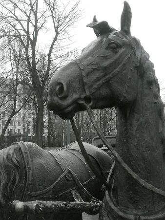 Sculpture in Minsk horses black and white の素材
