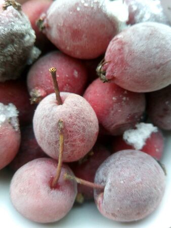 Paradise apples frozen の素材