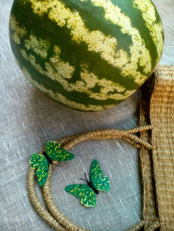 Watermelon and butterflies natural backgroundの素材