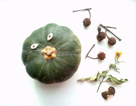 Green pumpkin halloween and floral on a white backgroundの素材
